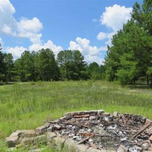 Photo of 98.03 Acres of Hunting and Timber Land for Sale in Horry County SC!