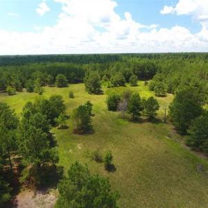 Photo of 98.03 Acres of Hunting and Timber Land for Sale in Horry County SC!