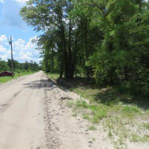 Photo of 98.03 Acres of Hunting and Timber Land for Sale in Horry County SC!