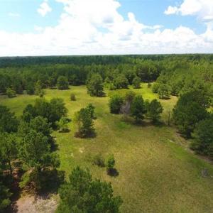 Photo of 98.03 Acres of Hunting and Timber Land for Sale in Horry County SC!