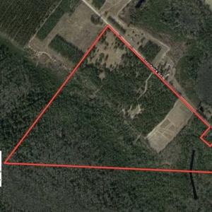 Photo of 98.03 Acres of Hunting and Timber Land for Sale in Horry County SC!