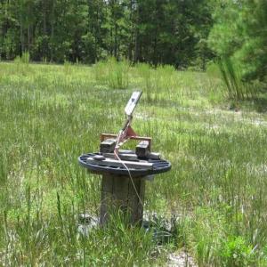 Photo of 98.03 Acres of Hunting and Timber Land for Sale in Horry County SC!