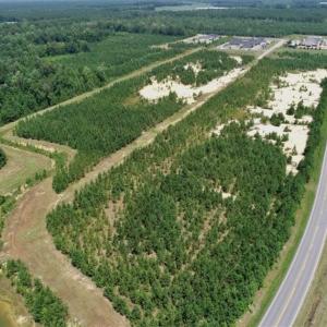 Photo of 28.67 Acres of Land For Sale in Gates County NC!
