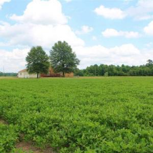 Photo of SOLD!!  2.16 Acres of Residential Land with Home For Sale in Greensville County, VA!