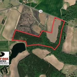 Photo of SOLD!!  45 Acres of Farm and Timber Land For Sale in Robeson County NC!