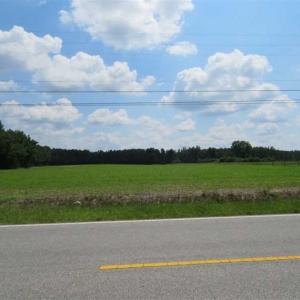 Photo of SOLD!!  45 Acres of Farm and Timber Land For Sale in Robeson County NC!