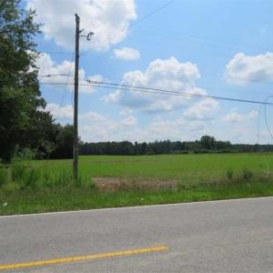 Photo of SOLD!!  45 Acres of Farm and Timber Land For Sale in Robeson County NC!