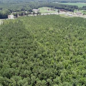 Photo of UNDER CONTRACT!!  11.66 Acre Wooded Residential Building Lot in Gates County NC!