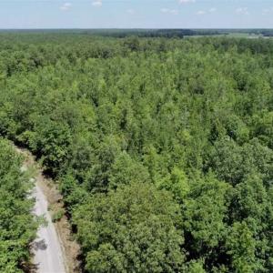 Photo of UNDER CONTRACT!!  12.59 Acre Wooded Residential Building Lot in Gates County NC!