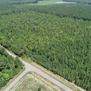 Photo of UNDER CONTRACT!!  12.59 Acre Wooded Residential Building Lot in Gates County NC!