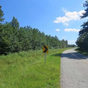 Photo of SOLD!!  38.74 Acres of Hunting and Timber Land For Sale in Brunswick County NC!