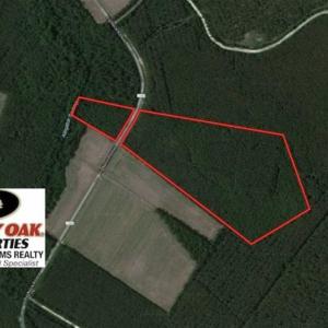 Photo of SOLD!!  38.74 Acres of Hunting and Timber Land For Sale in Brunswick County NC!