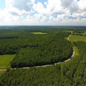 Photo of SOLD!!  38.74 Acres of Hunting and Timber Land For Sale in Brunswick County NC!
