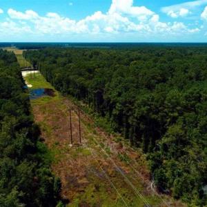 Photo of REDUCED! 17 Acres of Residential Land For Sale in Duplin County NC!