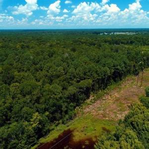 Photo of REDUCED! 17 Acres of Residential Land For Sale in Duplin County NC!