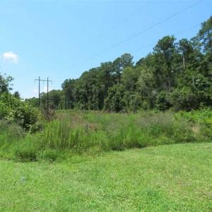 Photo of REDUCED! 17 Acres of Residential Land For Sale in Duplin County NC!