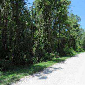 Photo of REDUCED! 17 Acres of Residential Land For Sale in Duplin County NC!