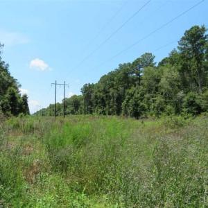 Photo of REDUCED! 17 Acres of Residential Land For Sale in Duplin County NC!