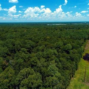 Photo of REDUCED! 17 Acres of Residential Land For Sale in Duplin County NC!