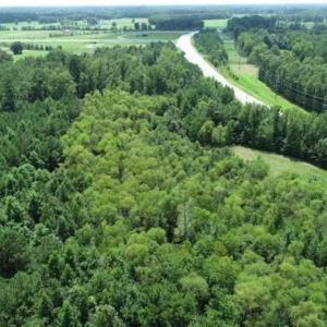 Photo of SOLD!!  13.67 Acres of Timber and Recreational Land For Sale in Cumberland County NC!
