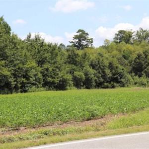 Photo of SOLD!!  13.67 Acres of Timber and Recreational Land For Sale in Cumberland County NC!
