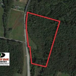 Photo of SOLD!!  13.67 Acres of Timber and Recreational Land For Sale in Cumberland County NC!