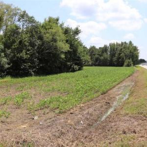Photo of SOLD!!  13.67 Acres of Timber and Recreational Land For Sale in Cumberland County NC!
