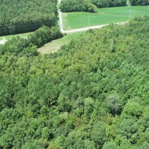 Photo of SOLD!!  13.67 Acres of Timber and Recreational Land For Sale in Cumberland County NC!