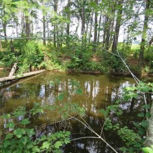 Photo of UNDER CONTRACT!!  5.22 Acres of Residential and Recreational Land For Sale in Robeson County NC!