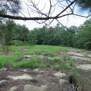 Photo of UNDER CONTRACT!!  5.22 Acres of Residential and Recreational Land For Sale in Robeson County NC!