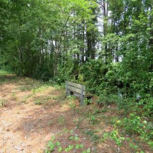 Photo of UNDER CONTRACT!!  5.22 Acres of Residential and Recreational Land For Sale in Robeson County NC!