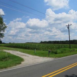 Photo of SOLD!!  30 Acres of Residential Farm and Timber Land For Sale in Robeson County NC!
