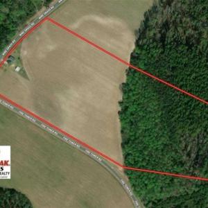 Photo of SOLD!!  30 Acres of Residential Farm and Timber Land For Sale in Robeson County NC!