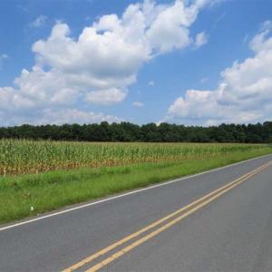 Photo of SOLD!!  30 Acres of Residential Farm and Timber Land For Sale in Robeson County NC!