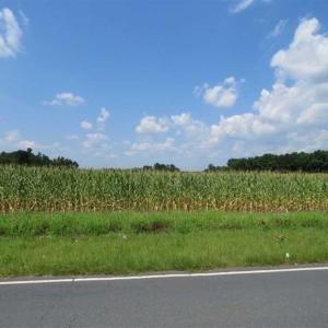 Photo of SOLD!!  30 Acres of Residential Farm and Timber Land For Sale in Robeson County NC!