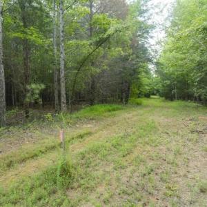 Photo of SOLD!!  10.01 Acre Homesite For Sale in Orange County NC!