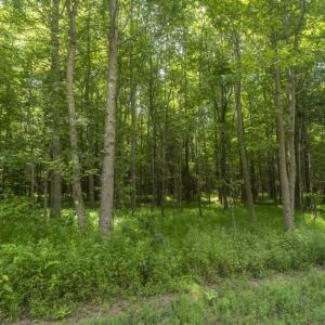 Photo of SOLD!!  10.01 Acre Homesite For Sale in Orange County NC!