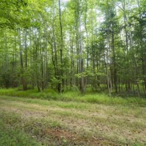Photo of SOLD!!  10.01 Acre Homesite For Sale in Orange County NC!