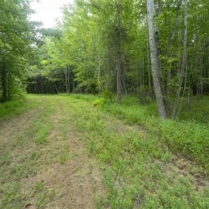 Photo of SOLD!!  10.01 Acre Homesite For Sale in Orange County NC!
