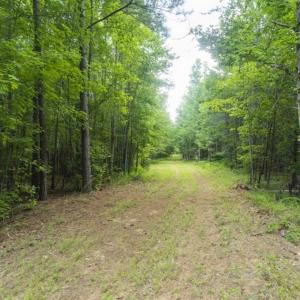 Photo of SOLD!!  10.01 Acre Homesite For Sale in Orange County NC!