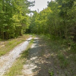 Photo of SOLD!!  10.01 Acre Homesite For Sale in Orange County NC!