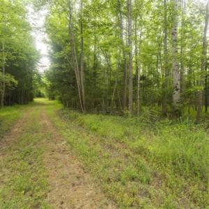 Photo of SOLD!!  10.01 Acre Homesite For Sale in Orange County NC!