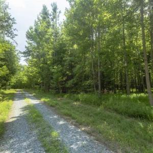 Photo of SOLD!!  10.01 Acre Homesite For Sale in Orange County NC!
