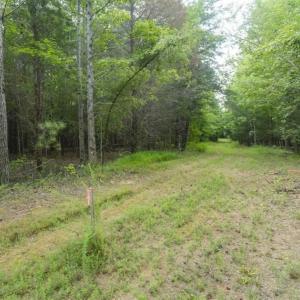 Photo of UNDER CONTRACT!!  18.42 Acre Homesite For Sale in Orange County NC!