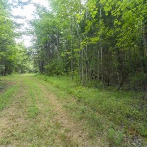 Photo of UNDER CONTRACT!!  18.42 Acre Homesite For Sale in Orange County NC!