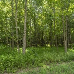 Photo of UNDER CONTRACT!!  18.42 Acre Homesite For Sale in Orange County NC!