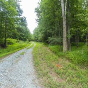Photo of UNDER CONTRACT!!  18.42 Acre Homesite For Sale in Orange County NC!
