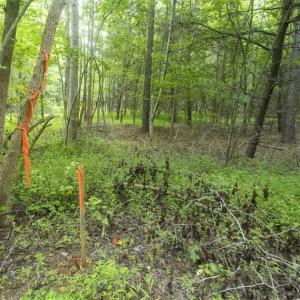 Photo of UNDER CONTRACT!!  18.42 Acre Homesite For Sale in Orange County NC!