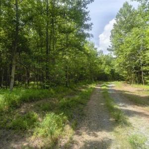 Photo of UNDER CONTRACT!!  18.42 Acre Homesite For Sale in Orange County NC!