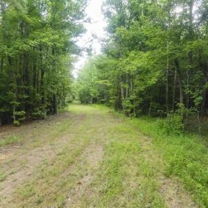 Photo of UNDER CONTRACT!!  18.42 Acre Homesite For Sale in Orange County NC!